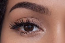 Load image into Gallery viewer, Fudge Cake